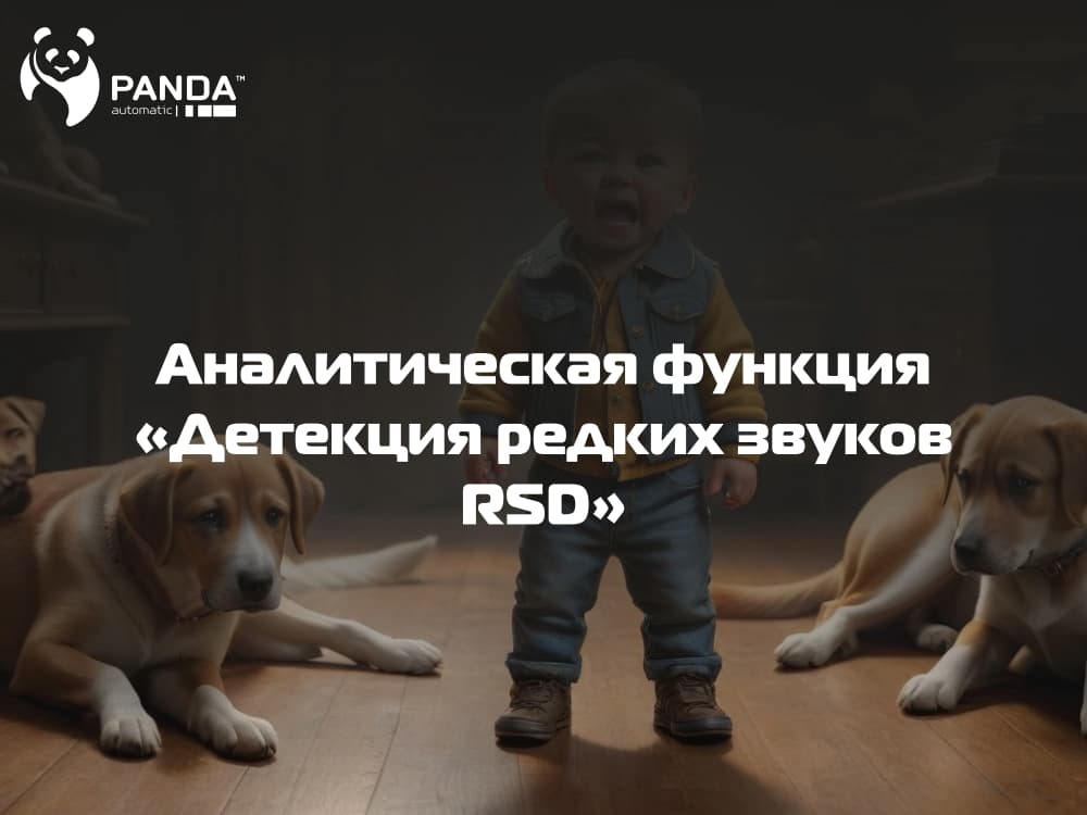 Функция "Детекция редких звуков RSD"