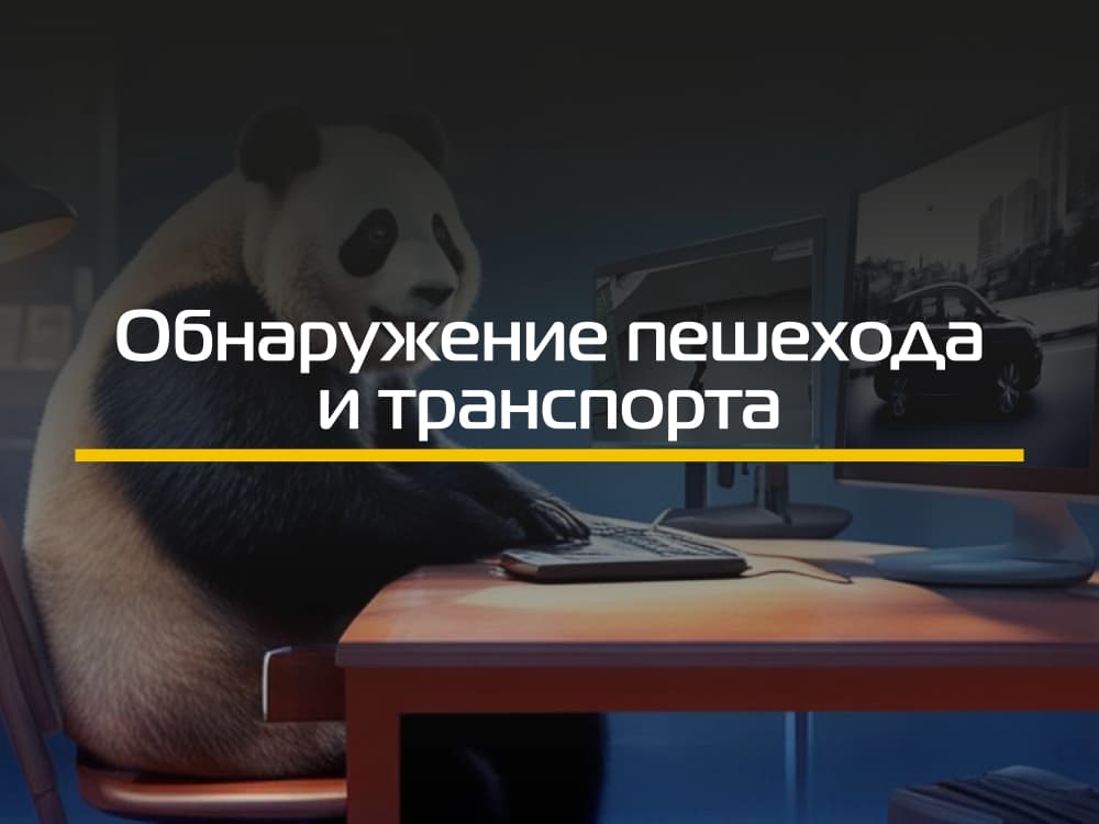 PD&VD (Обнаружение транспорта и человека)