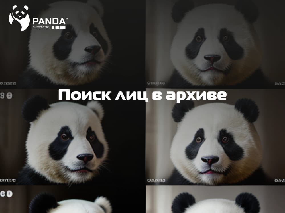 Поиск лиц в архиве