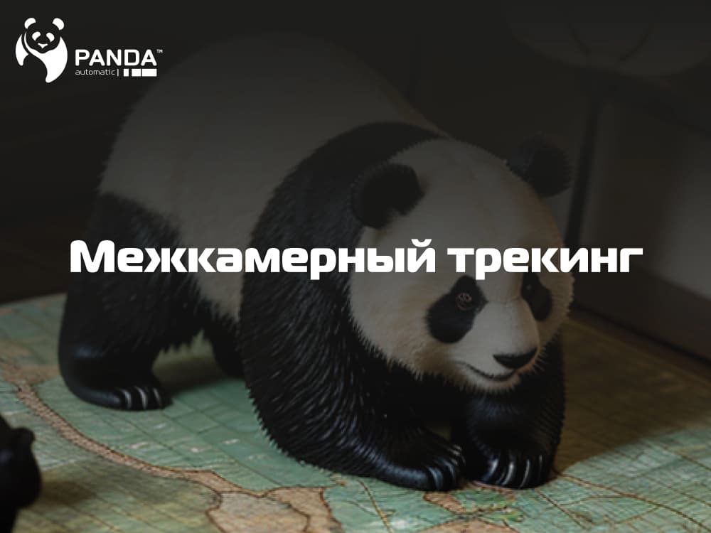 Межкамерный трекинг