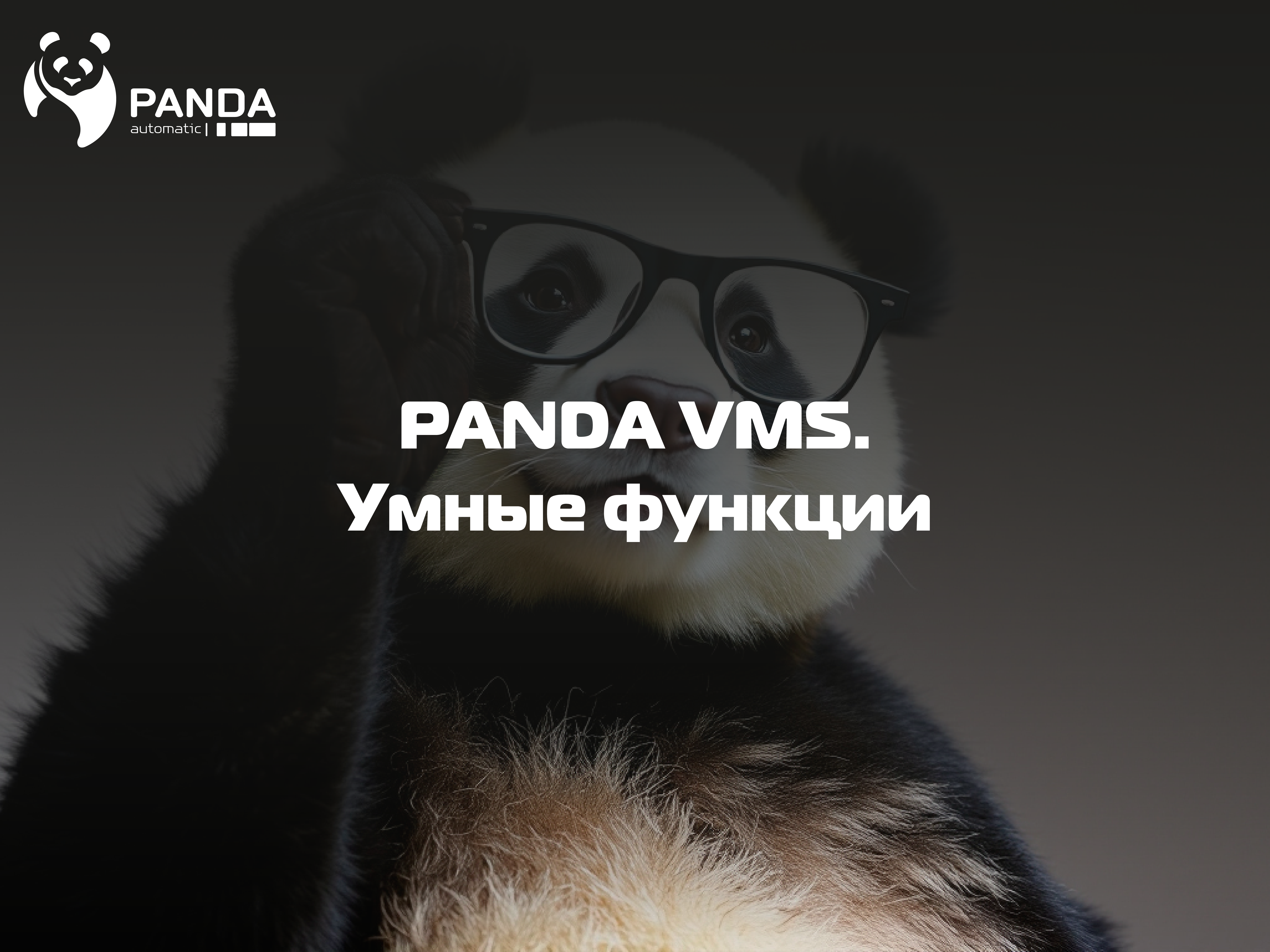 "PANDA VMS". Умные функции