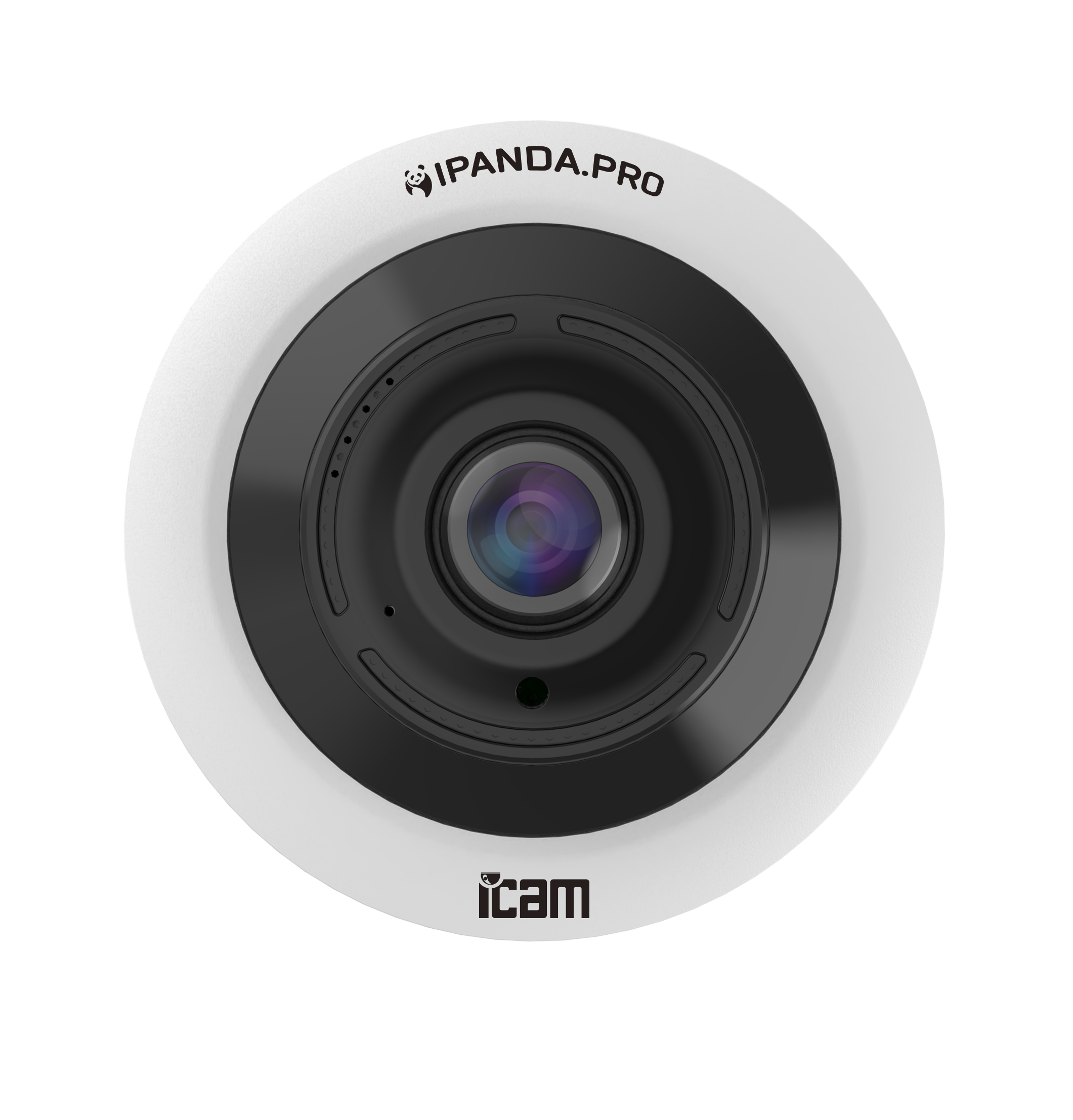 iCAM Hemispheric.12XM